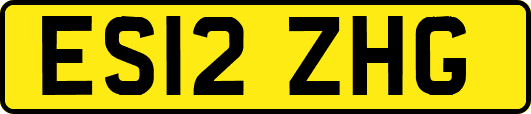 ES12ZHG