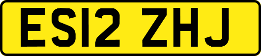 ES12ZHJ
