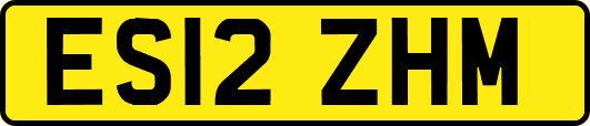 ES12ZHM