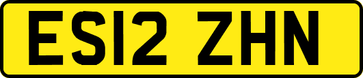 ES12ZHN
