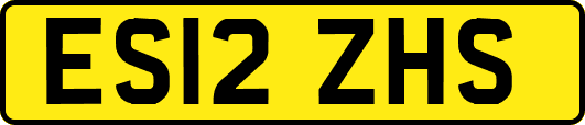 ES12ZHS