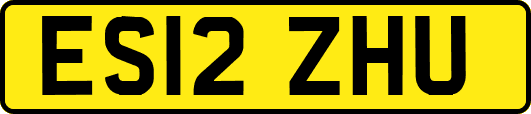 ES12ZHU