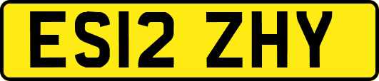 ES12ZHY