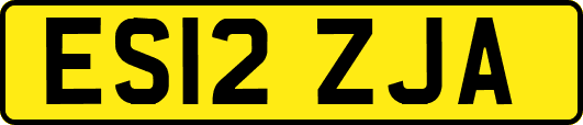 ES12ZJA