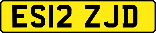 ES12ZJD