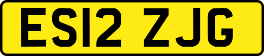 ES12ZJG