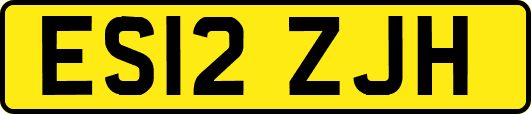 ES12ZJH
