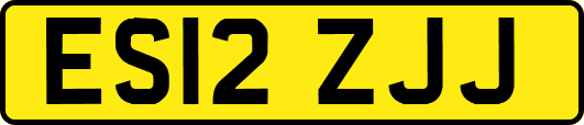 ES12ZJJ