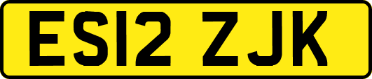 ES12ZJK