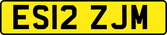 ES12ZJM