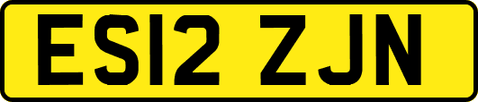 ES12ZJN