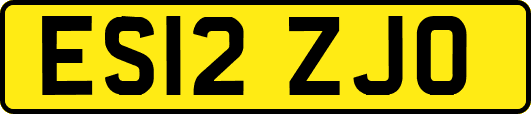 ES12ZJO