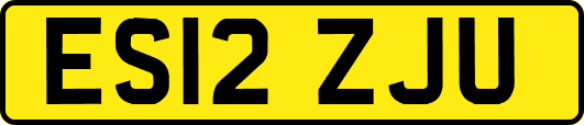 ES12ZJU