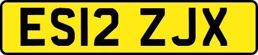 ES12ZJX