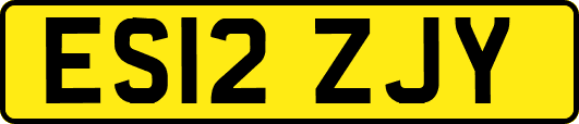 ES12ZJY
