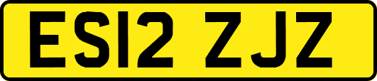 ES12ZJZ
