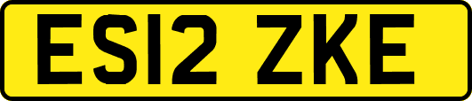 ES12ZKE