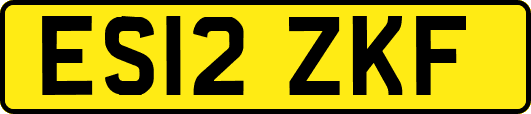 ES12ZKF