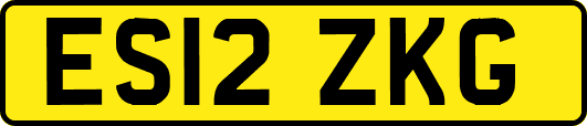 ES12ZKG