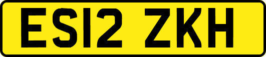 ES12ZKH