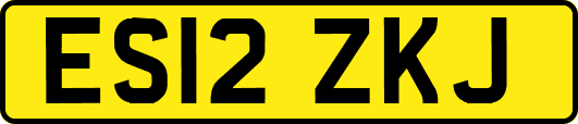 ES12ZKJ