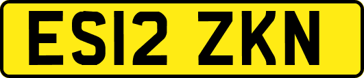 ES12ZKN