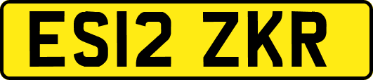 ES12ZKR