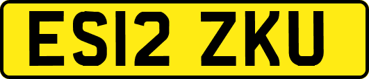 ES12ZKU
