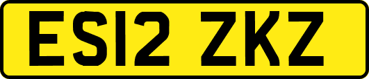 ES12ZKZ