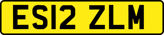 ES12ZLM