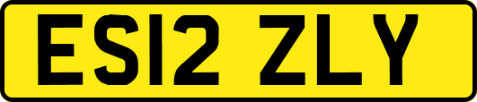 ES12ZLY