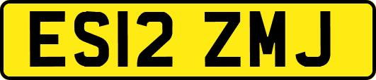 ES12ZMJ