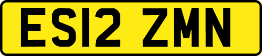 ES12ZMN