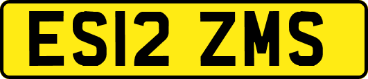 ES12ZMS