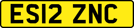 ES12ZNC