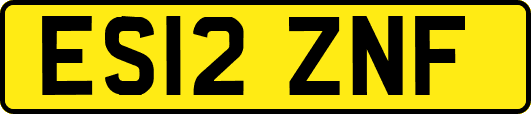 ES12ZNF