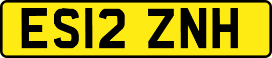 ES12ZNH
