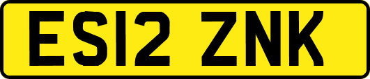 ES12ZNK