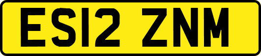 ES12ZNM