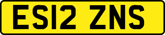 ES12ZNS