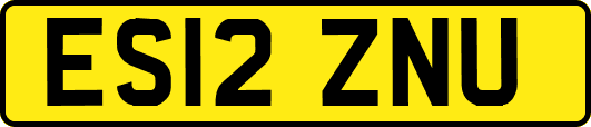 ES12ZNU