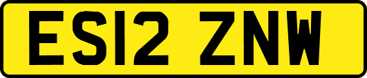 ES12ZNW
