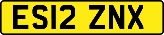 ES12ZNX