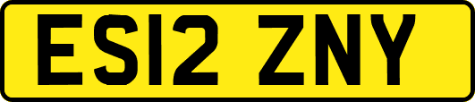 ES12ZNY