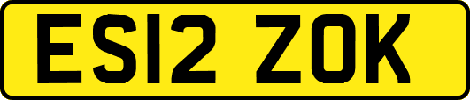 ES12ZOK