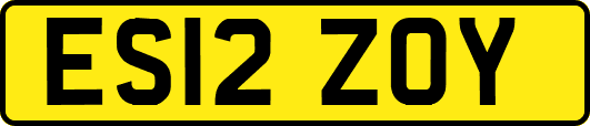 ES12ZOY