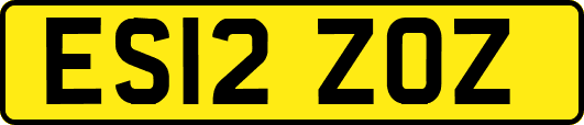 ES12ZOZ