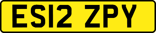 ES12ZPY