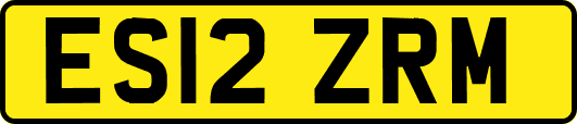 ES12ZRM