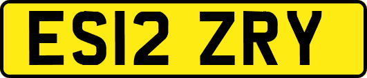 ES12ZRY